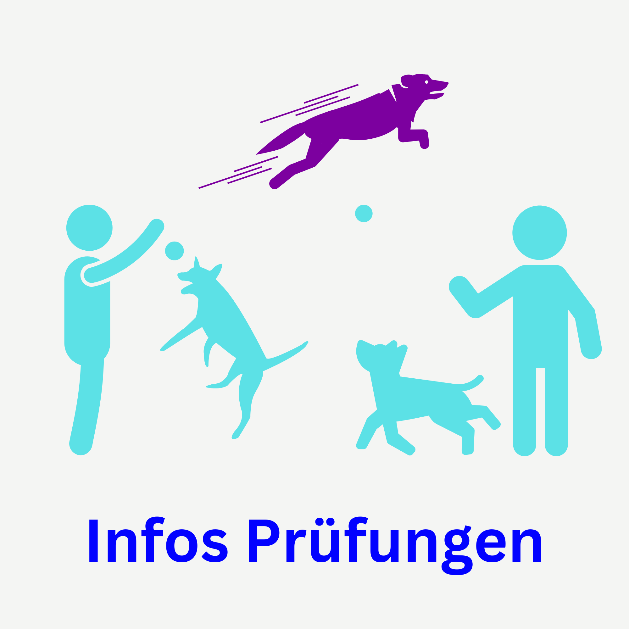 Infos Prüfungen